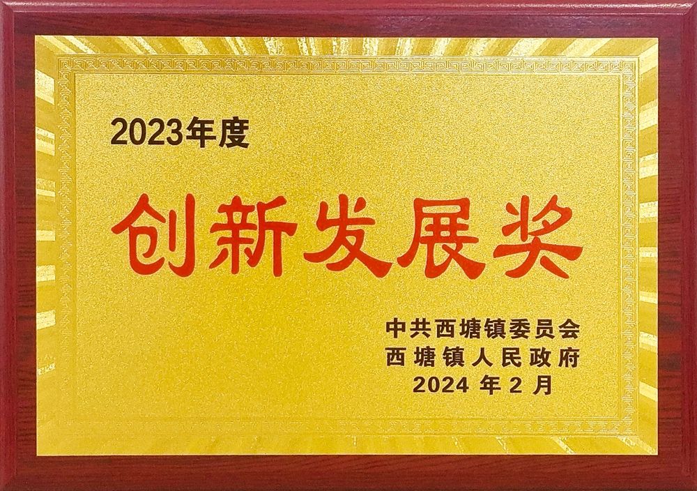 2023年度“创新发展奖”